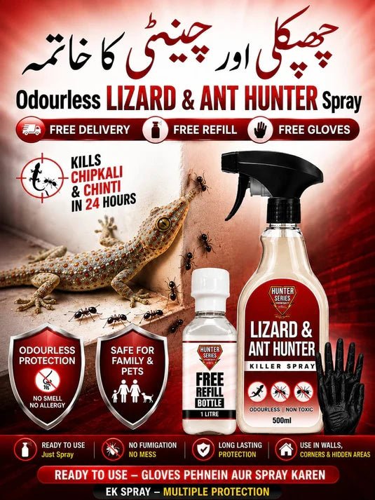 LIZARD AND ANTS HUNTER - House of Chemicals - Pakistan's Odourless Killer Spray for Termite, Bed Bugs, Cockroach, Lizard, Ant & Mosquitoes