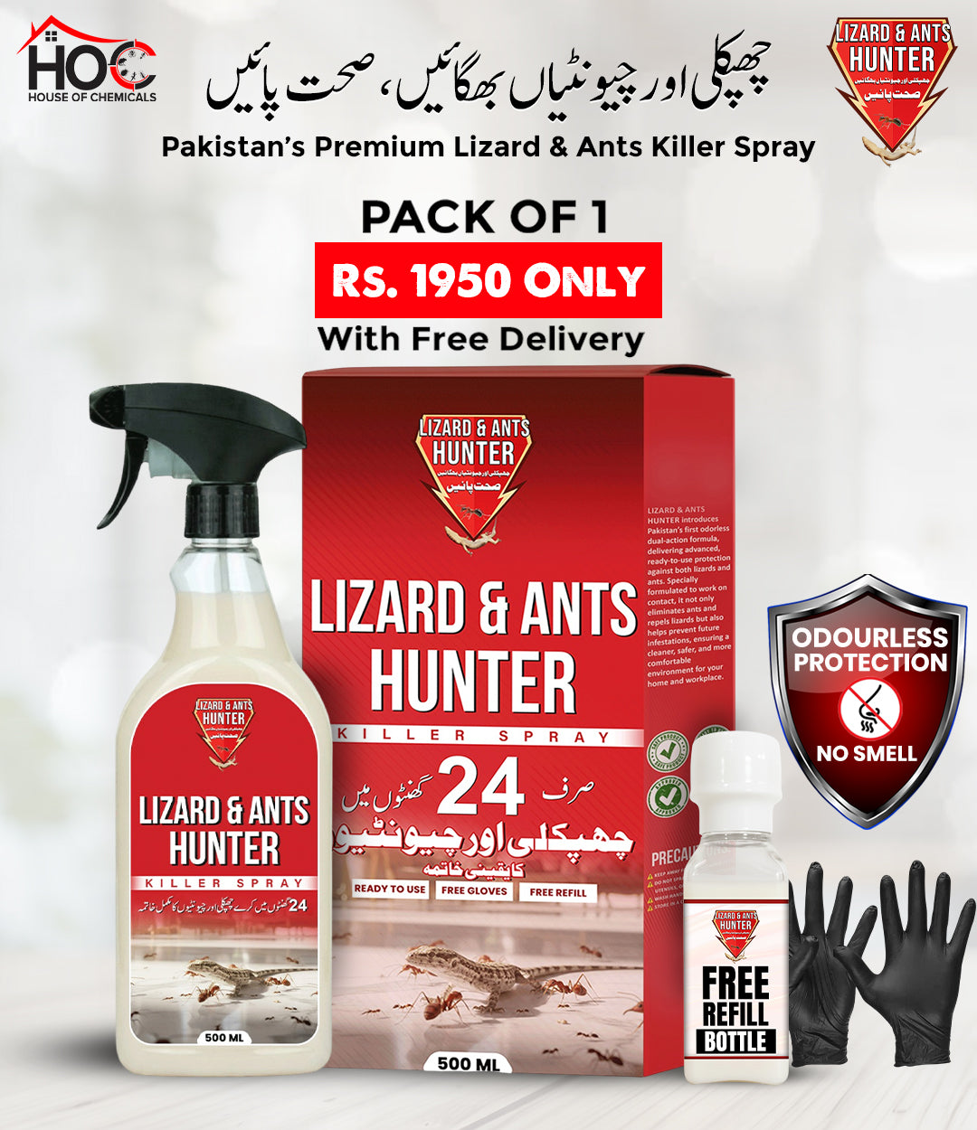Lizard & Ant Hunter (Chupkali or Chunti) Odourless Killer Spray with Extra Refill & Free Gloves